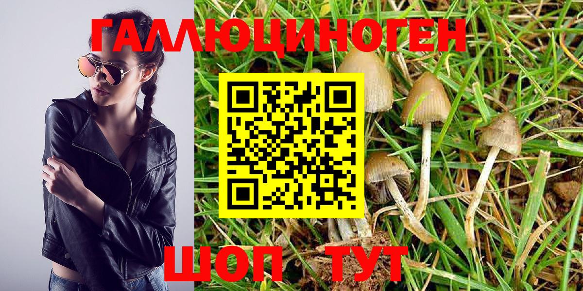 Псилоцибиновые грибы GOLDEN TEACHER  Галлюциногенные грибы Cubensis  Вход с VPN  Усолье-Сибирское 